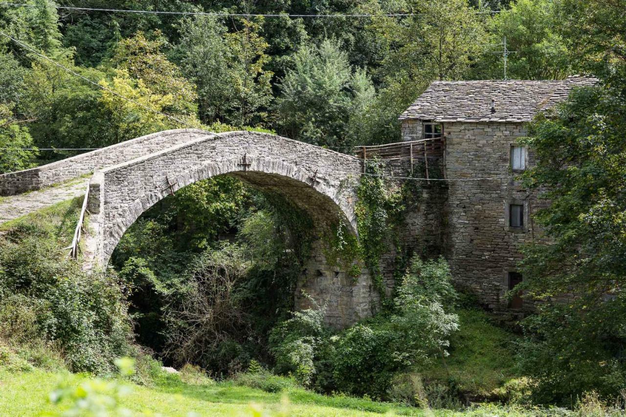 Agriturismo L'Antico Frutto Premilcuore Dış mekan fotoğraf