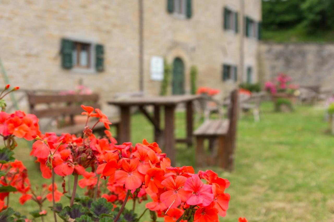 Agriturismo L'Antico Frutto Premilcuore Dış mekan fotoğraf